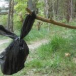 Dog Poo - a Dreadful Blight on Our Countryside