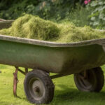 grass clippings