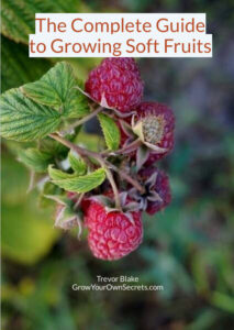 Growing Soft Fruits