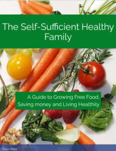 the self sufficient healthy family