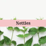 nettle