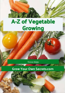 a-z of vegetables