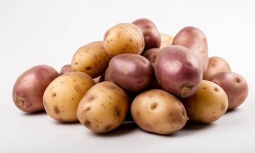 How to Grow Your Own Potatoes