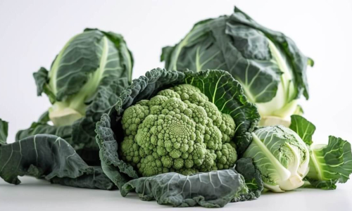 How to Grow Your Own Brassicas