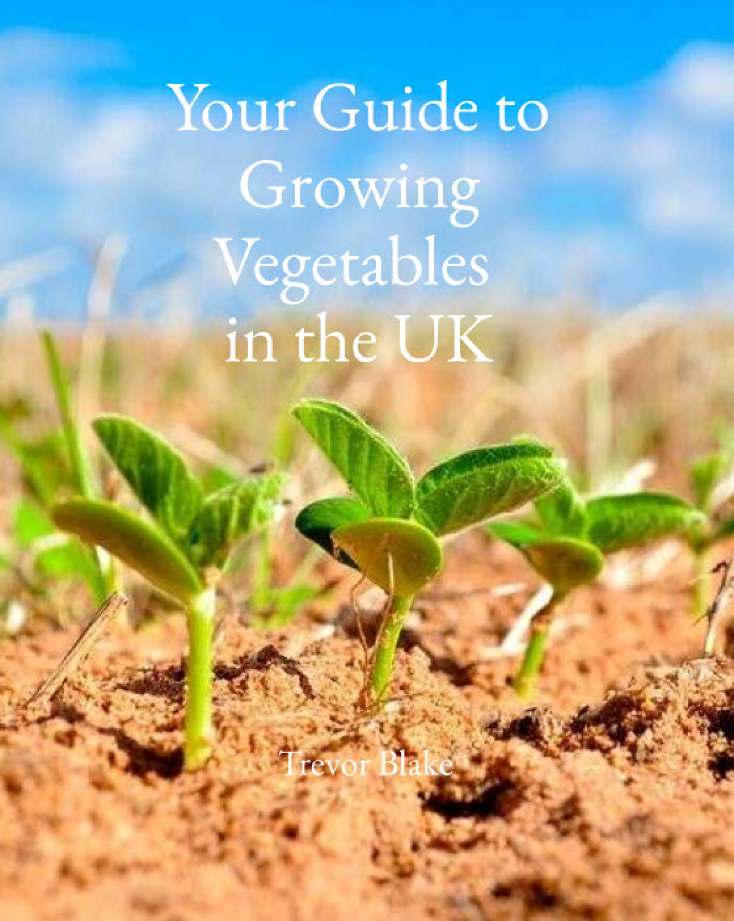 guide to growing veg