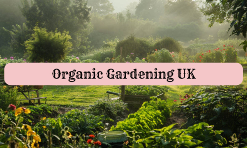 organic gardening 1