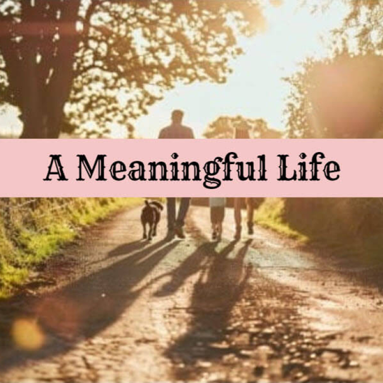 meaningful life