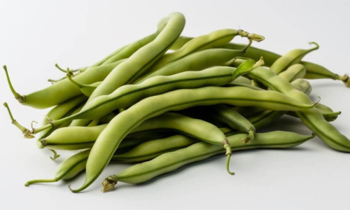 Own Runner Beans