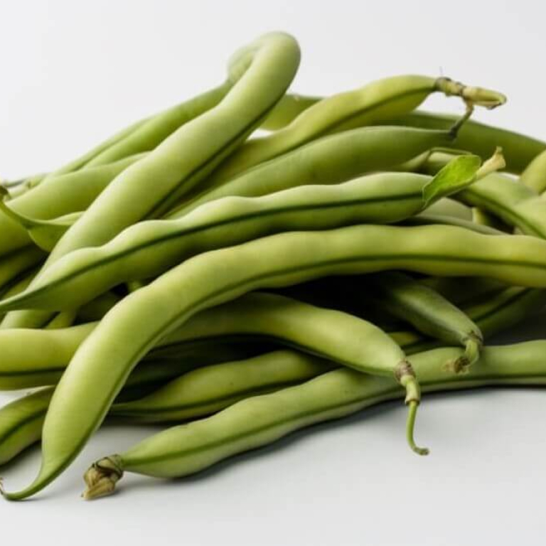 Own Runner Beans