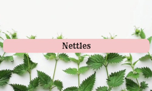 nettles1
