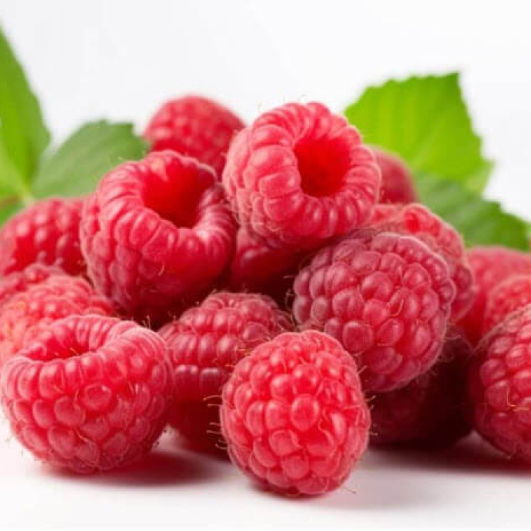 raspberry