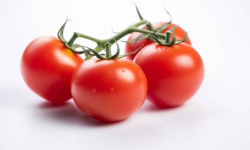 How to Grow Your Own Tomatoes